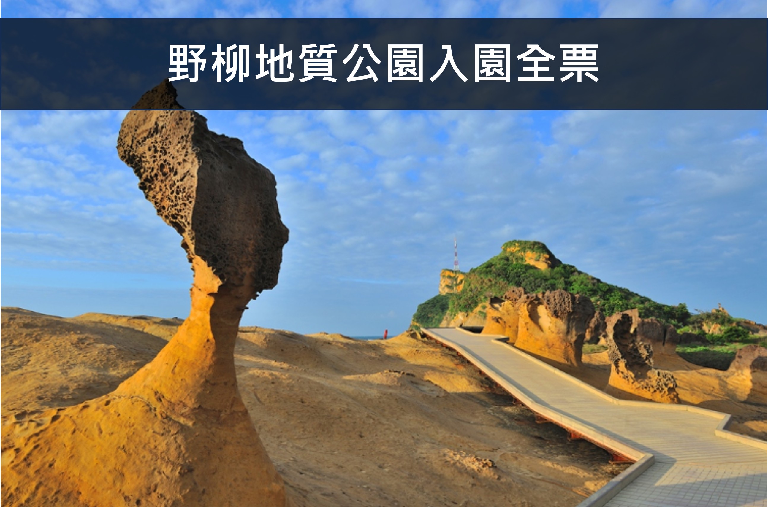 野柳地質公園入園全票