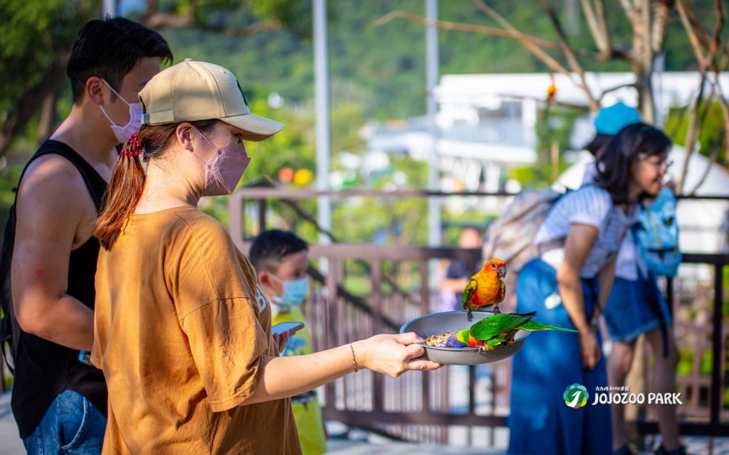 動物樂園