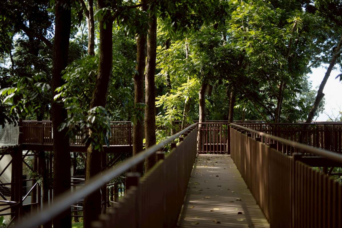 空中步道