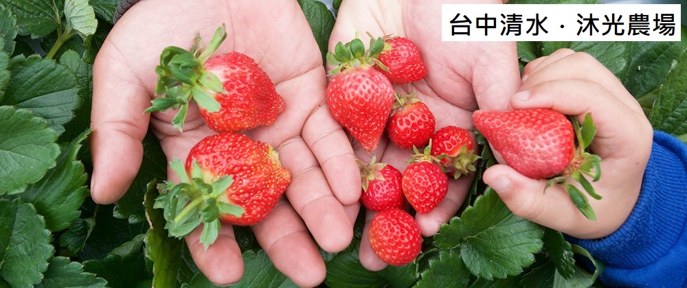 台中清水．沐光農場